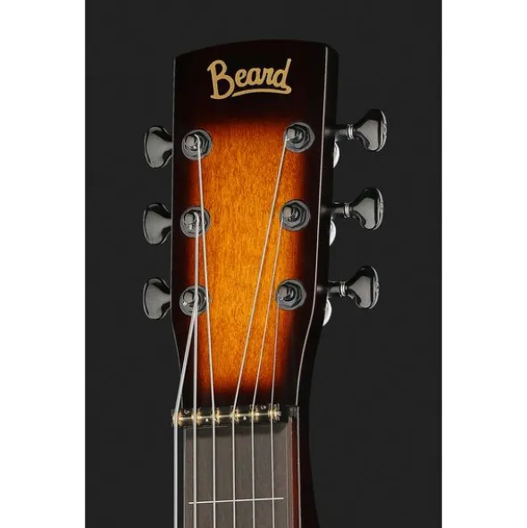 Beard Guitars Road-O-Phonic HSDS TS
