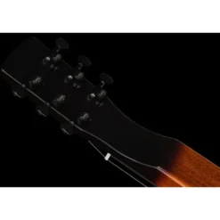 Beard Guitars Road-O-Phonic TS