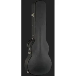 Beard Guitars Road-O-Phonic TS