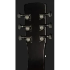 Beard Guitars Road-O-Phonic TS