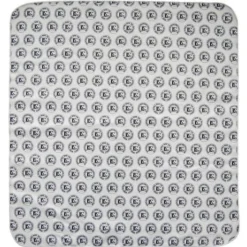 BG France A62L Universal Swab