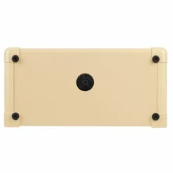 Blackstar Acoustic:Core 30