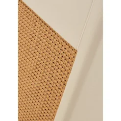 Blackstar TV-10 A 1 x 12
