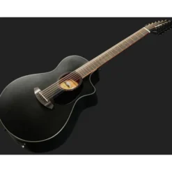 Breedlove Discovery S CN SAT. BLK DBL12