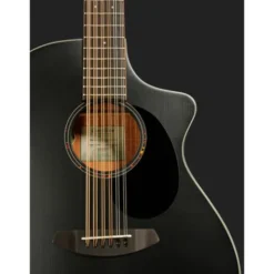 Breedlove Discovery S CN SAT. BLK DBL12