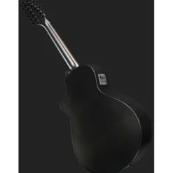 Breedlove Discovery S CN SAT. BLK DBL12
