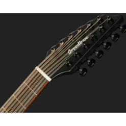 Breedlove Discovery S CN SAT. BLK DBL12