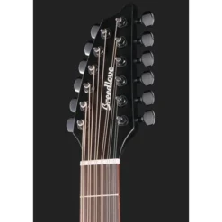 Breedlove Discovery S CN SAT. BLK DBL12