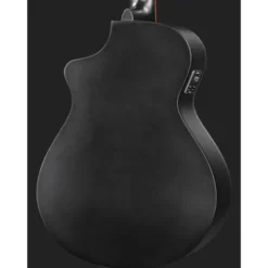 Breedlove Discovery S CN SAT. BLK DBL12