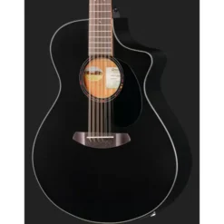 Breedlove Discovery S CN SAT. BLK DBL12