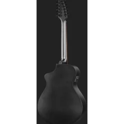 Breedlove Discovery S CN SAT. BLK DBL12