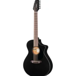 Breedlove Discovery S CN SAT. BLK DBL12