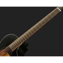 Breedlove Discovery S CN SAT. BLK DBL12
