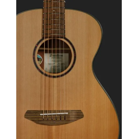 Breedlove Discovery S Companion