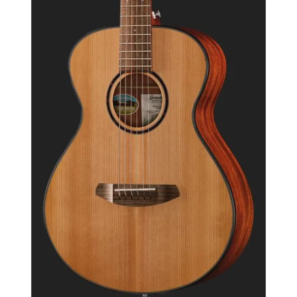 Breedlove Discovery S Companion