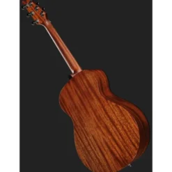 Breedlove Discovery S Companion