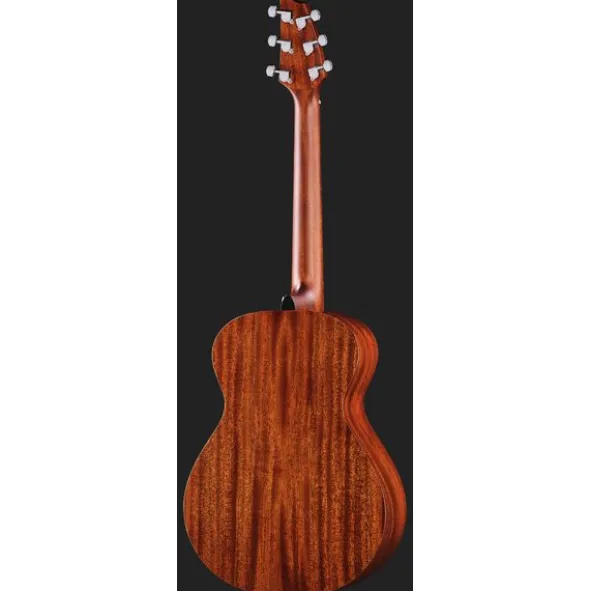 Breedlove Discovery S Companion