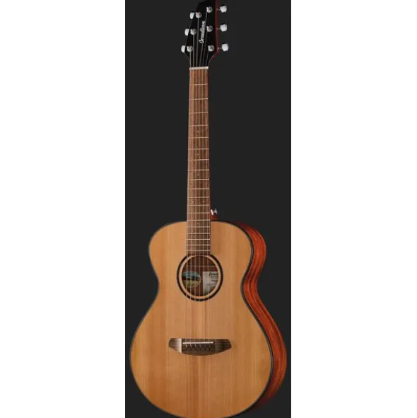 Breedlove Discovery S Companion