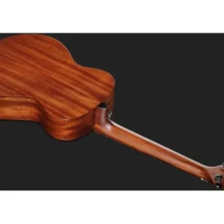 Breedlove Discovery S Companion
