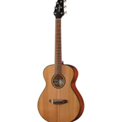 Breedlove Discovery S Companion