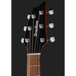 Breedlove Discovery S Companion