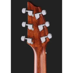 Breedlove Discovery S Companion
