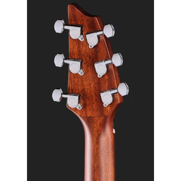 Breedlove Discovery S Companion