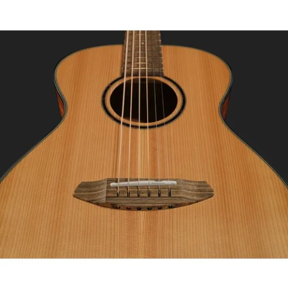 Breedlove Discovery S Companion