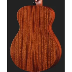 Breedlove Discovery S Companion