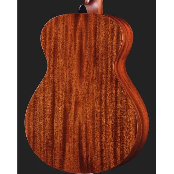 Breedlove Discovery S Companion