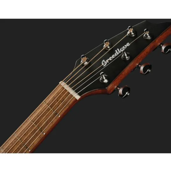 Breedlove Discovery S Companion