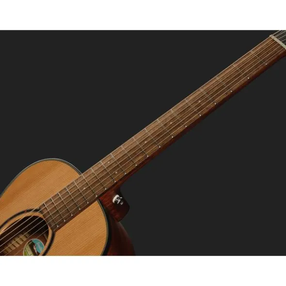 Breedlove Discovery S Companion
