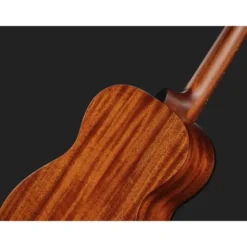 Breedlove Discovery S Companion