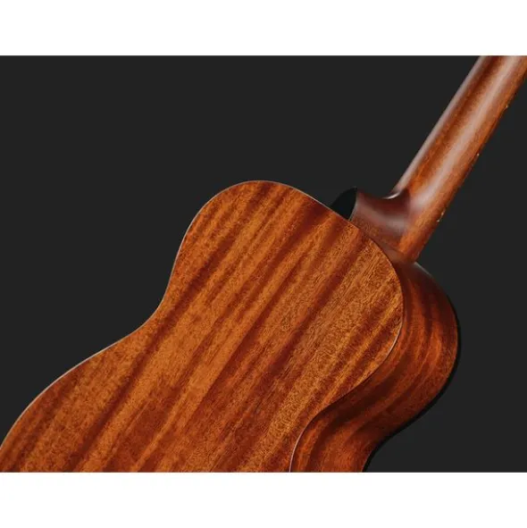 Breedlove Discovery S Companion