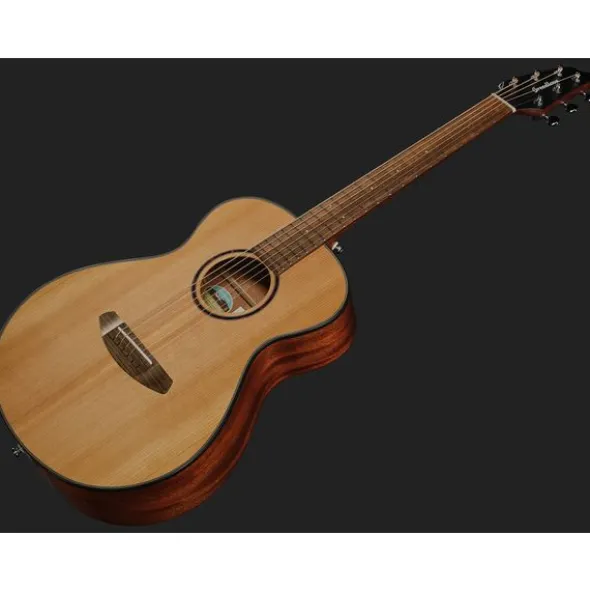 Breedlove Discovery S Companion