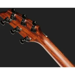 Breedlove Discovery S Companion