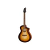 Breedlove Discovery S Concert ED B-Stock