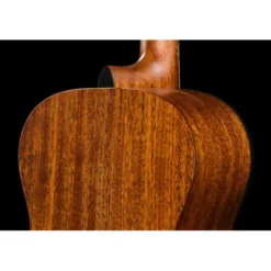 Breedlove Discovery S Concert Mahogany