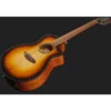 Breedlove Discovery S Conc 12-St CE EB