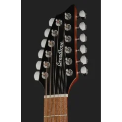 Breedlove Discovery S Conc 12-St CE EB