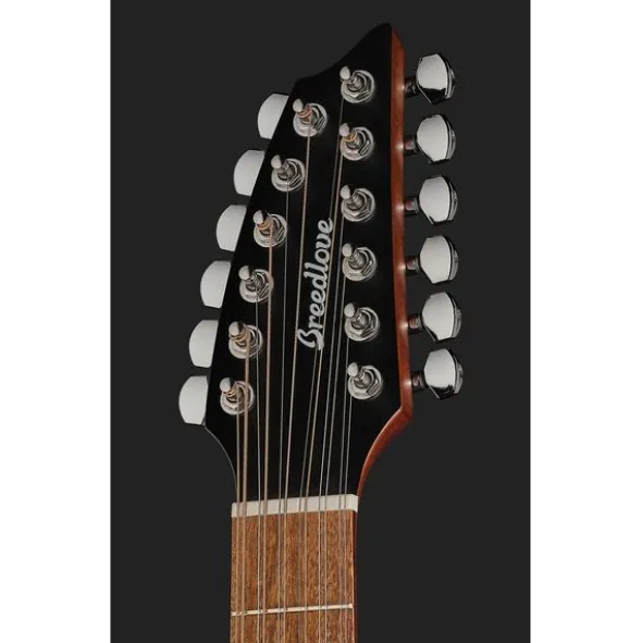 Breedlove Discovery S Conc 12-St CE EB