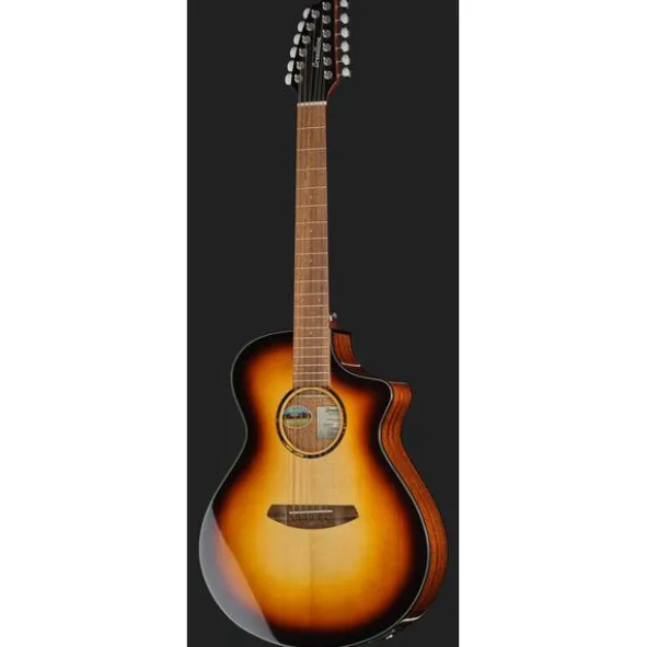Breedlove Discovery S Conc 12-St CE EB