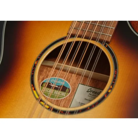 Breedlove Discovery S Conc 12-St CE EB