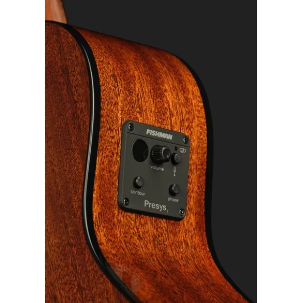 Breedlove Discovery S Conc 12-St CE EB