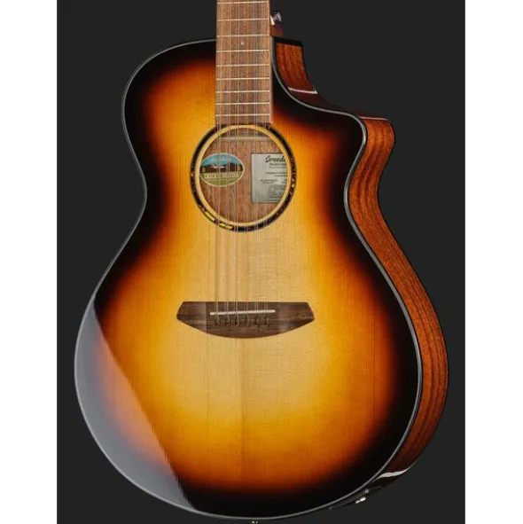 Breedlove Discovery S Conc 12-St CE EB