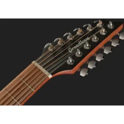 Breedlove Discovery S Conc 12-St CE EB