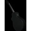 Breedlove Discovery S Conc 12-St CE BS