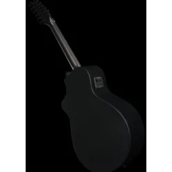 Breedlove Discovery S Conc 12-St CE BS