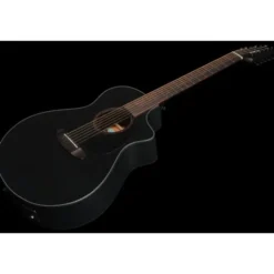 Breedlove Discovery S Conc 12-St CE BS