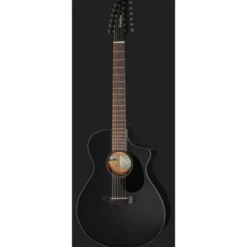 Breedlove Discovery S Conc 12-St CE BS